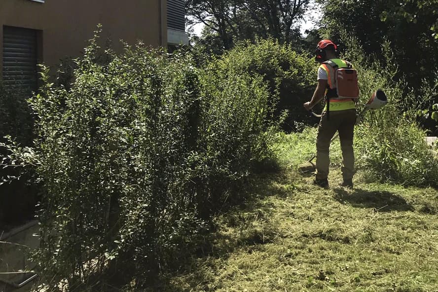 Begrünung Versickerungsanlage, Moosseedorf